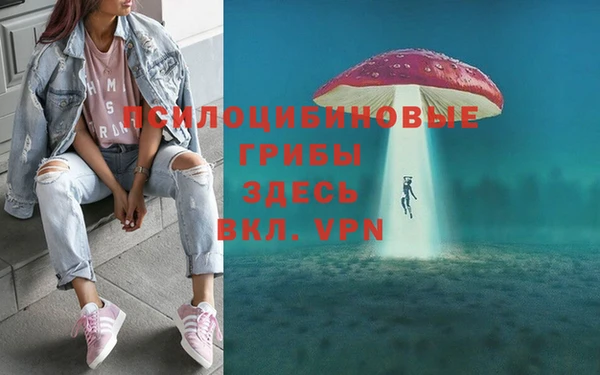 эйфоретик Осинники