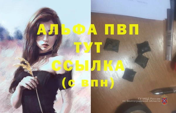эйфоретик Осинники