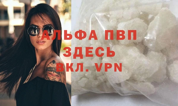 эйфоретик Осинники